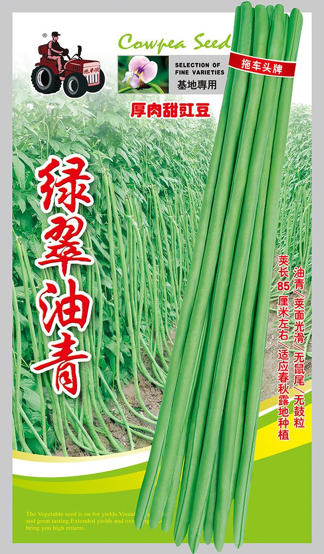 绿翠油青——油青豆型系列林天成与李文轩免费阅读