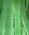 金星绿丰王—葫芦官网在线免费观看